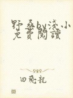 野桑by浅小说免费阅读