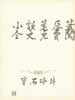 小说叶辰萧初然全文免费阅读