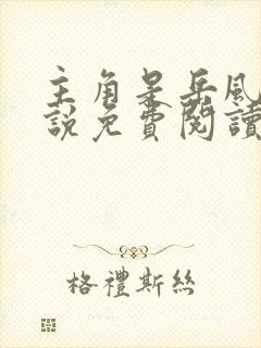 主角是岳风的小说免费阅读最新章节封面