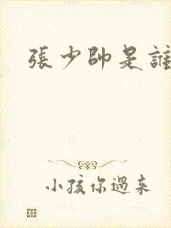 张少帅是谁