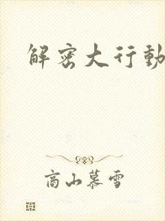 解密大行动