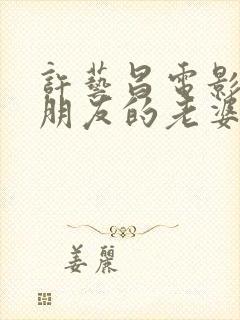 许艺昌电影《我朋友的老婆》封面