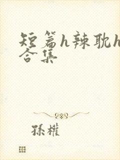 短篇h辣耽h文合集封面