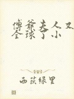 傅爷夫人又惊艳全球了小