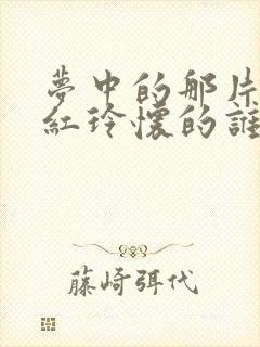 梦中的那片海贺红玲怀的谁的孩子