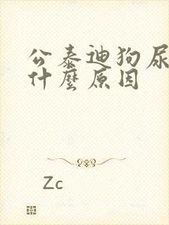 公泰迪狗尿血块什么原因封面