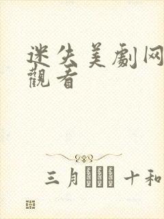 迷失美剧网在线观看