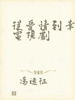 从爱情到幸福 电视剧