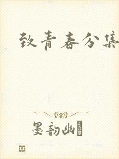 致青春分集剧情封面