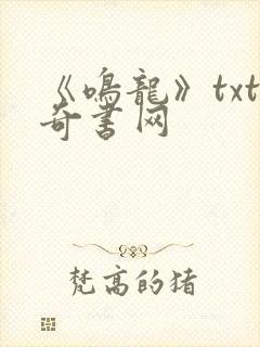 《鸣龙》txt奇书网