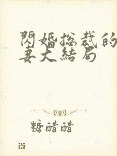 闪婚总裁的契约妻大结局