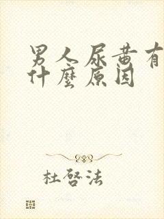 男人尿黄有沫是什么原因