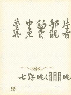 梦中的那片海全集免费观看