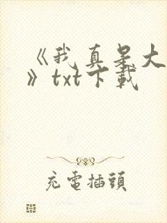 《我真是大明星》txt下载