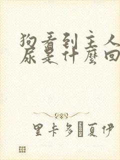 狗看到主人就拉尿是什么回事封面