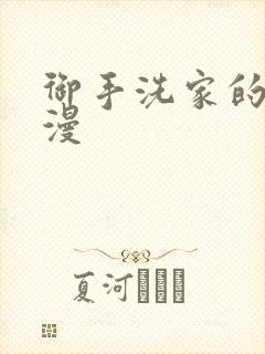 御手洗家的事动漫封面