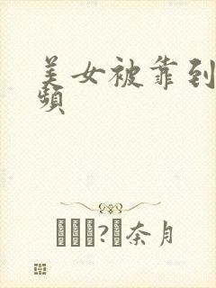 美女被靠到爽视频