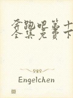 奔跑吧第十三季全集免费下载封面