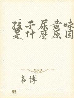 孩子尿黄味道重是什么原因