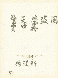 惊天魔盗团2免费中英