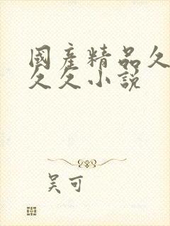 国产精品久久久久久小说