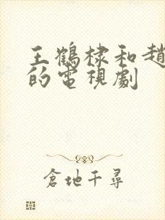 王鹤棣和赵露思的电视剧