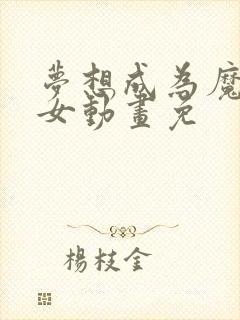 梦想成为魔法少女动画免