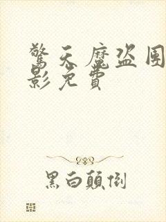 惊天魔盗团2电影免费