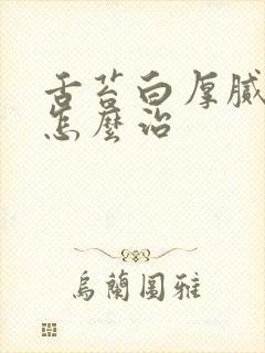 舌苔白厚腻口臭怎么治