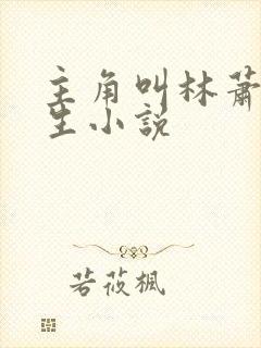 主角叫林萧的重生小说封面