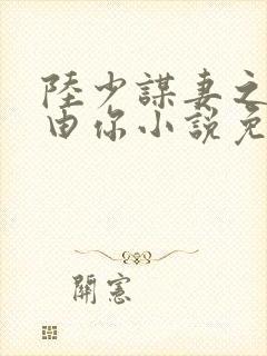 陆少谋妻之婚不由你小说免费阅读