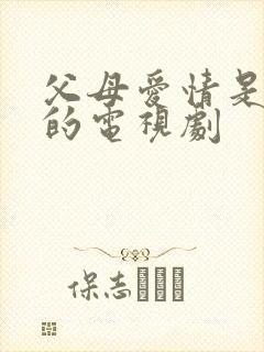 父母爱情是哪年的电视剧