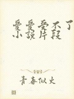 爱爱受不了高潮小说片段封面