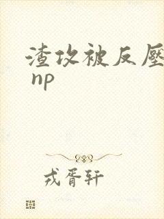 渣攻被反压成受 np