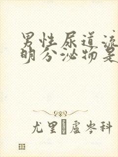 男性尿道流出透明分泌物是什么