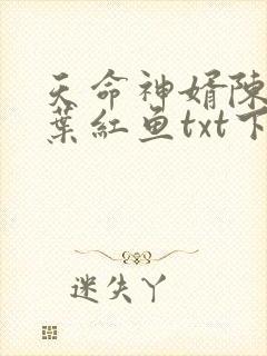 天命神婿陈黄皮叶红鱼txt下载