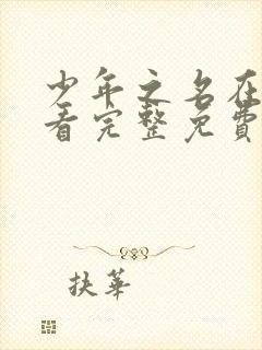 少年之名在线观看完整免费