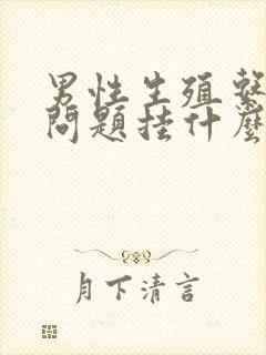 男性生殖系统有问题挂什么科