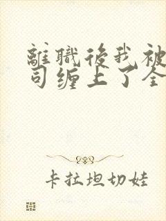 离职后我被前上司缠上了全文阅读阅读