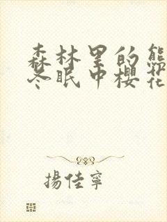 森林里的熊先生冬眠中樱花