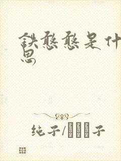 铁憨憨是什么意思