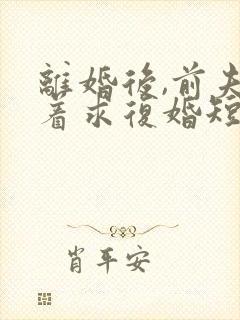 离婚后,前夫哭着求复婚短剧