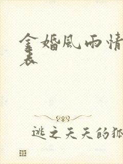 金婚风雨情演员表