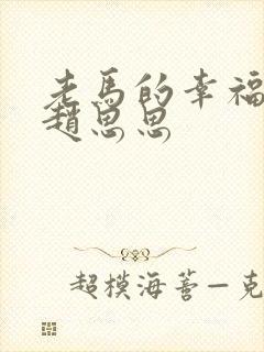 老马的幸福生活赵思思