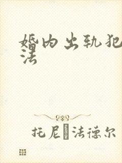 婚内出轨犯不犯法