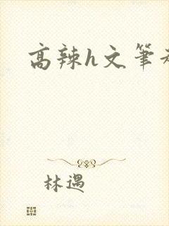 高辣h文笔趣阁