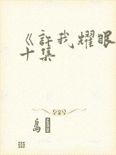 《许我耀眼》第十集封面