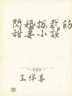 闪婚总裁的契约甜妻小说