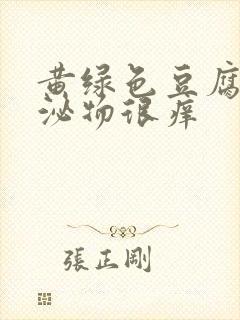 黄绿色豆腐渣分泌物很痒封面