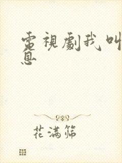 电视剧我叫赵出息